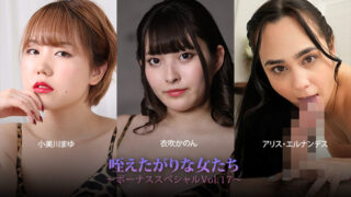 HEYZO 3930 欲求不满的女子们～特别加长版Vol.17～