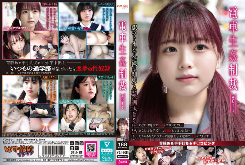 YDNS-011 电车强奸制裁系列#011